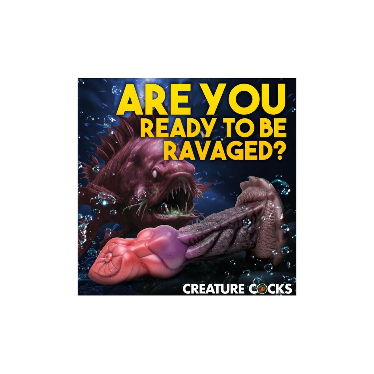 V3H176F870E1A003BACD04B27580848BDFCR5369547P4