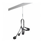 V4H016441662A7C055567E19560988A1482R5085105P3