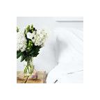 V4H24AB4013FB53772A47D8FBFE75E7236AR4786543P6