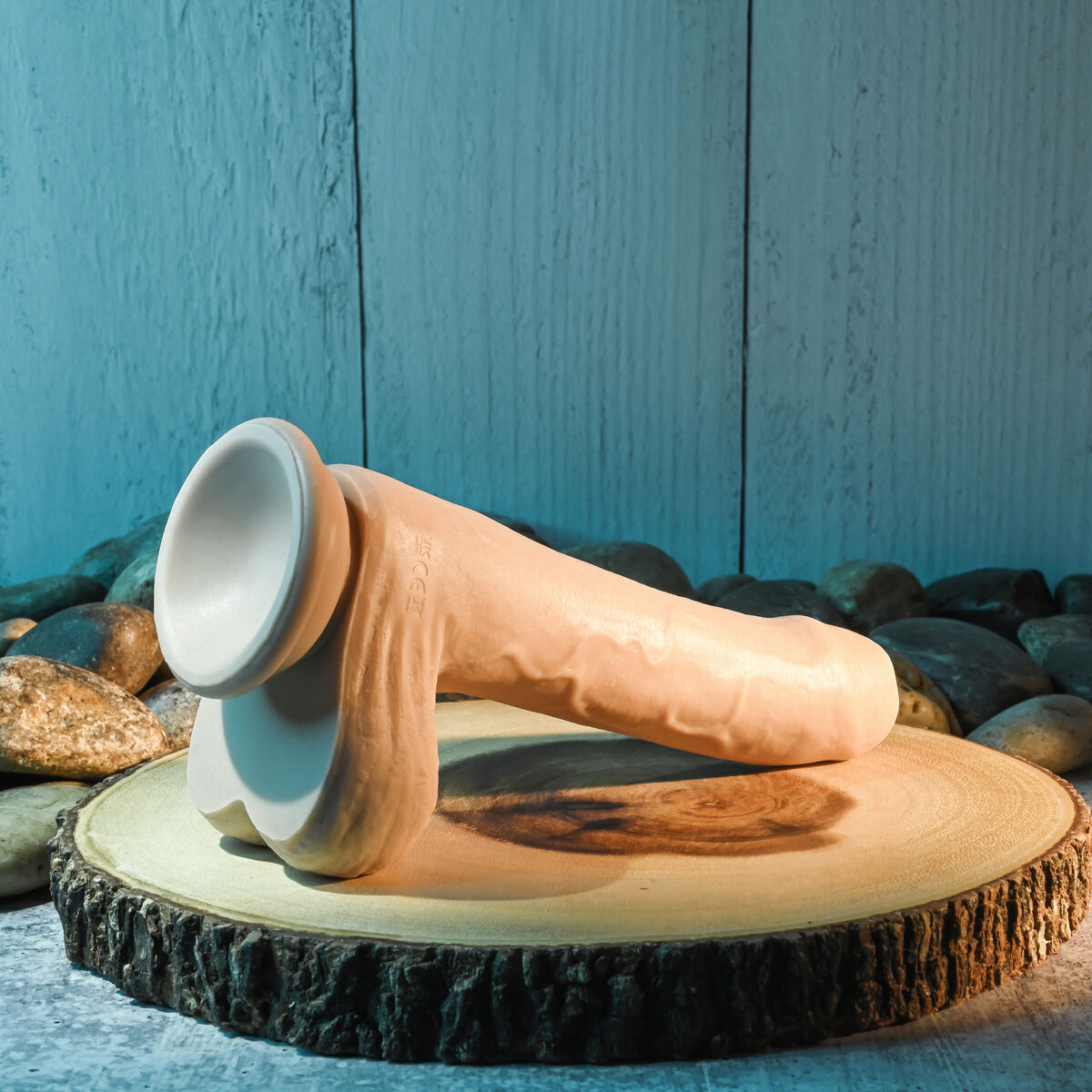 V4H580115C55B7C7DC5EF498F10F7587FFDR4846187P10