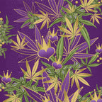 V4H385E27E76F94A89516633915CC9B199ER4865645P6