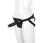 V4H219660D31ABED322BEE1F011A5B3BE1DR4916611P2