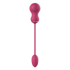 V4HAFE43786855D3F08C437B72B88CAA44ER4916100P6